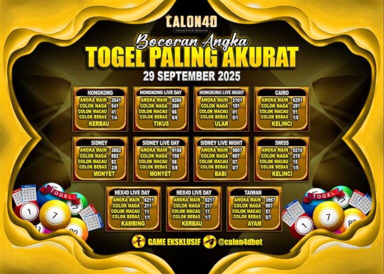 WhatsApp Image 2025-09-29 at 05.04.00