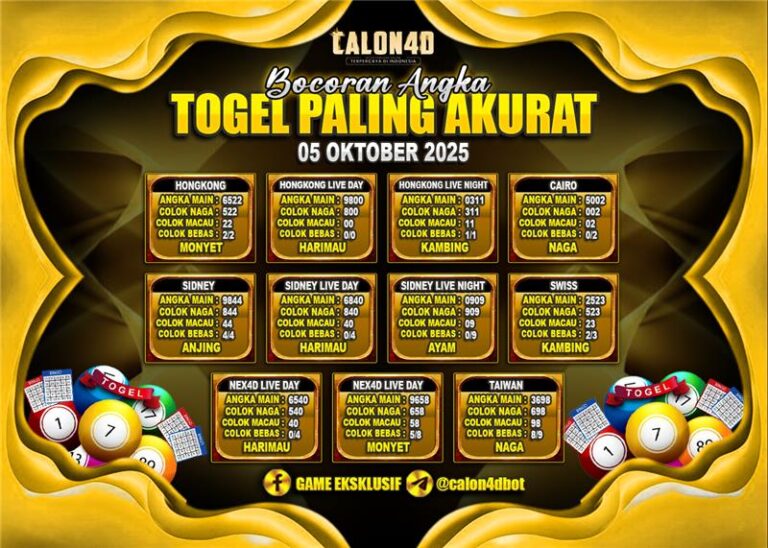 WhatsApp Image 2025-10-05 at 05.09.02