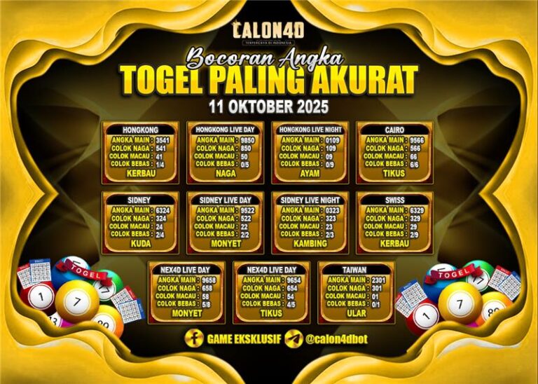 WhatsApp Image 2025-10-11 at 05.13.51