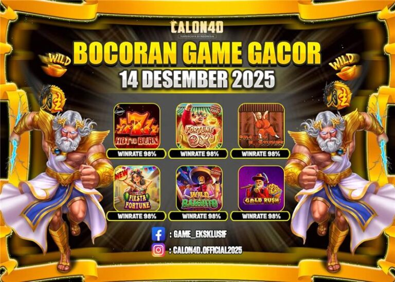 WhatsApp Image 2025-12-14 at 06.29.10