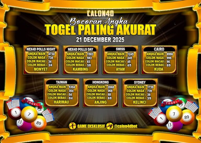 WhatsApp Image 2025-12-21 at 03.13.08 (1)