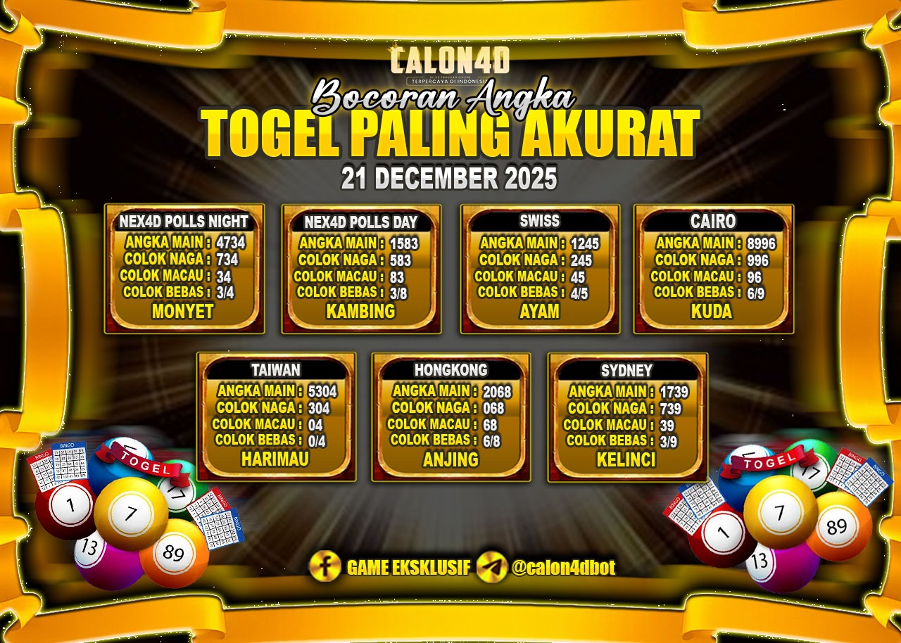 WhatsApp Image 2025-12-21 at 03.13.08 (1)