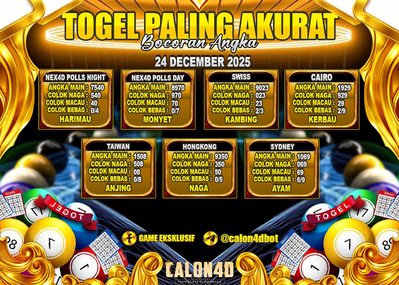 WhatsApp Image 2025-12-24 at 03.39.03