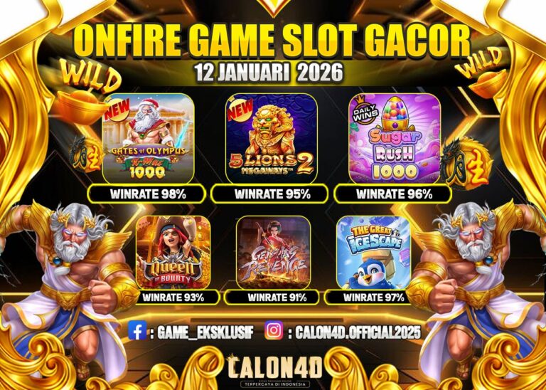 WhatsApp Image 2026-01-12 at 05.41.16