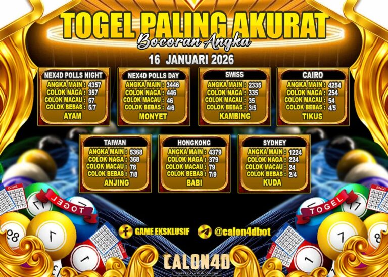 WhatsApp Image 2026-01-16 at 05.16.30