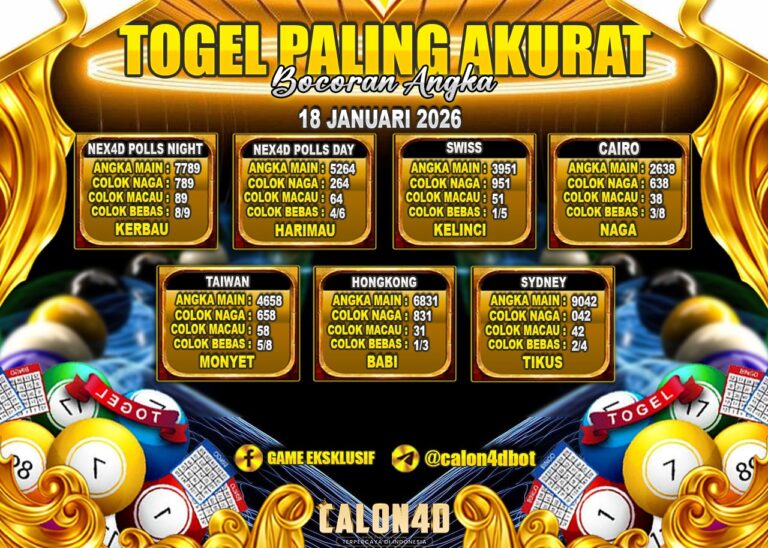 WhatsApp Image 2026-01-18 at 04.16.09