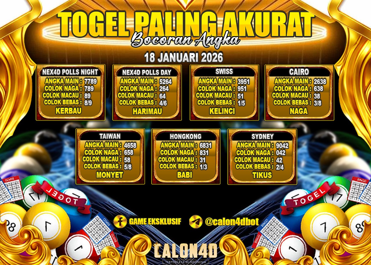 WhatsApp Image 2026-01-18 at 04.16.09