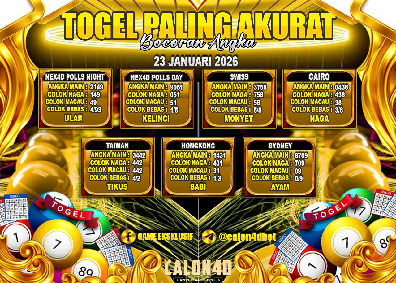 WhatsApp Image 2026-01-23 at 02.49.08