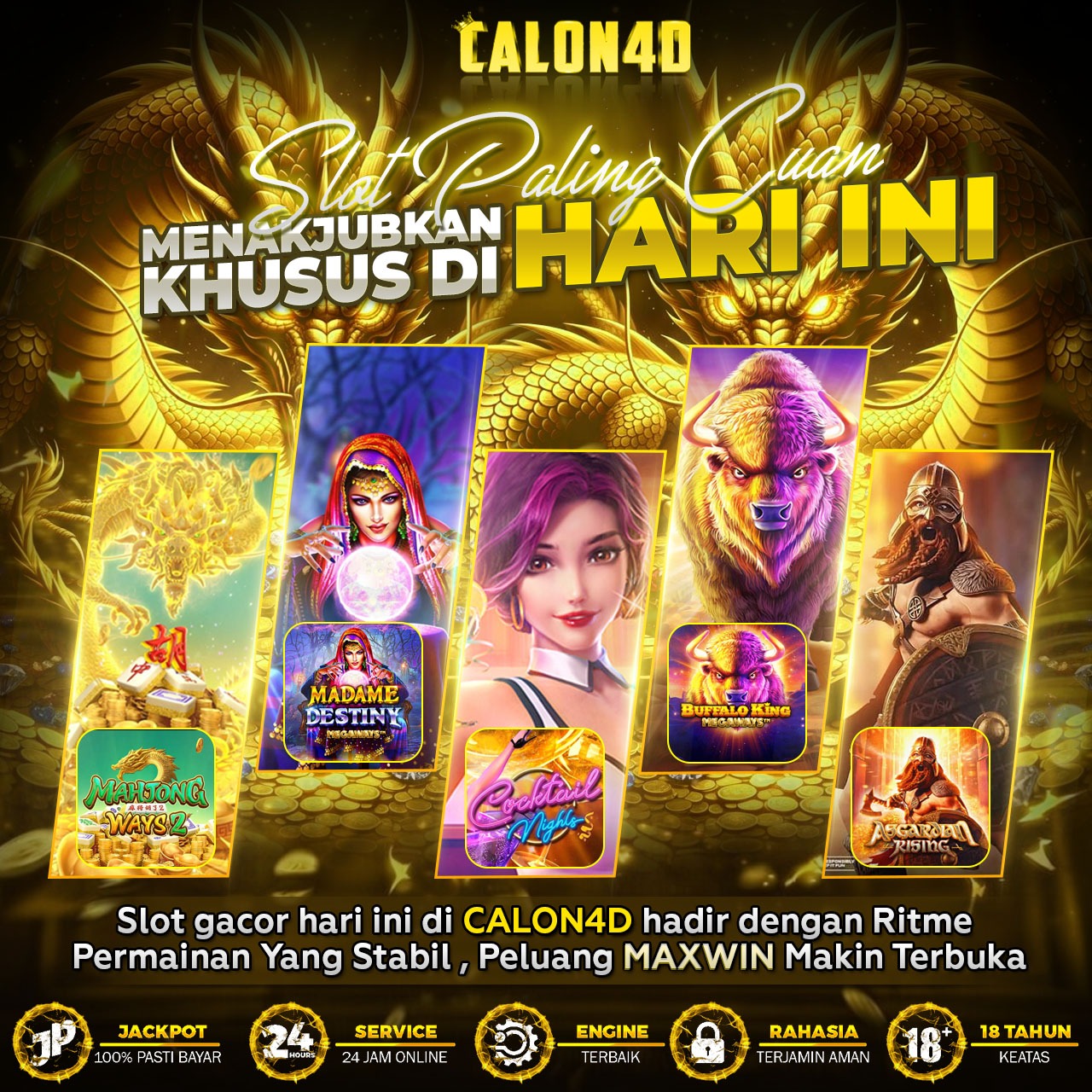 WhatsApp Image 2026-02-08 at 06.07.55