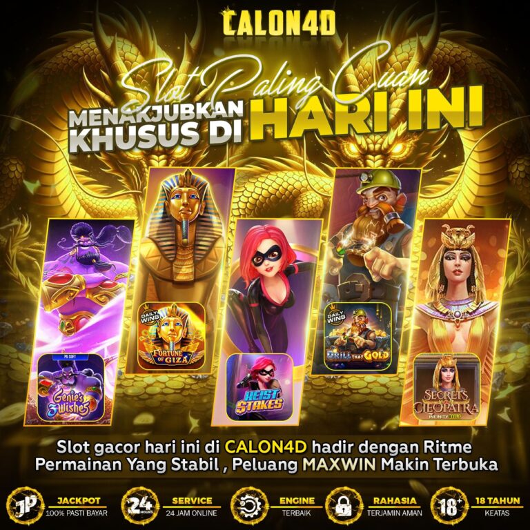 WhatsApp Image 2026-02-13 at 05.50.21