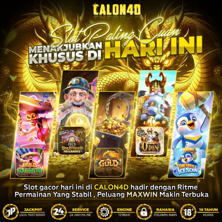 WhatsApp Image 2026-02-14 at 06.03.24