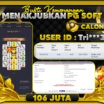 WhatsApp Image 2026-03-02 at 21.28.14