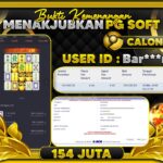 WhatsApp Image 2026-03-03 at 04.27.49