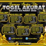 WhatsApp Image 2026-03-03 at 05.23.28