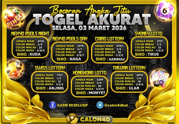 WhatsApp Image 2026-03-03 at 05.23.28