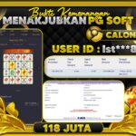 WhatsApp Image 2026-04-17 at 05.58.33